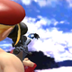 Image for article titled A Critical Analysis Of This Sonic/Cammy Fanfic Video